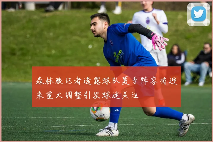 森林狼记者透露球队夏季阵容将迎来重大调整引发球迷关注
