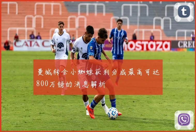 曼城转会小蜘蛛获利分成最高可达800万镑的消息解析